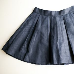 Banana Republic Metallic Blue Pleated Skirt 2P